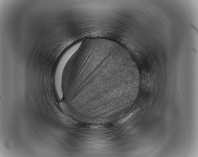 X0000098000164200804141215