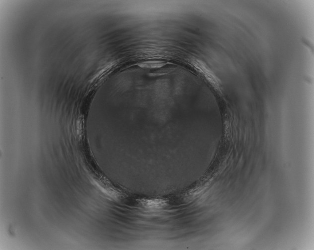 X0000098000165200804141216