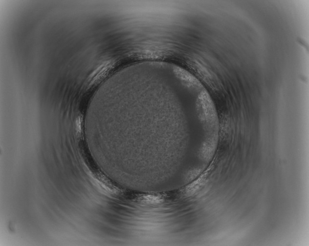 X0000098000166200804141216