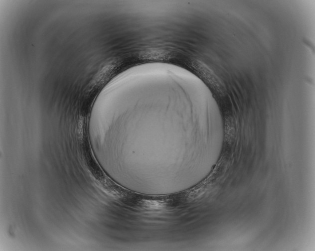 X0000098000167200804141216