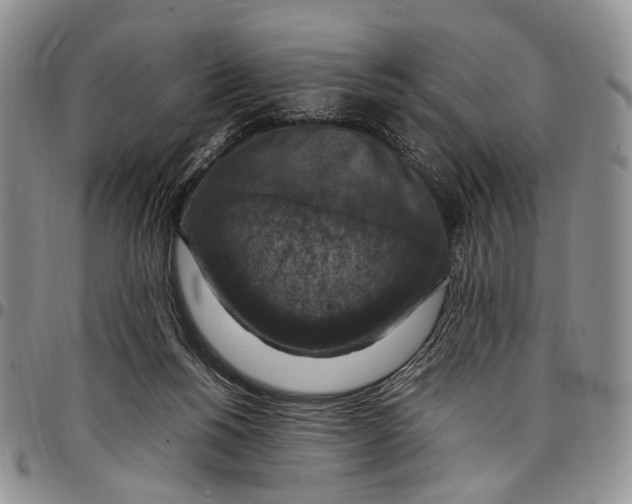 X0000098000168200804141216