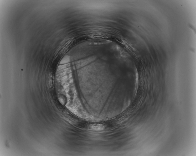 X0000098000169200804141216