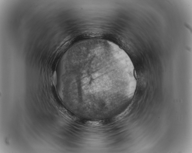 X0000098000170200804141216
