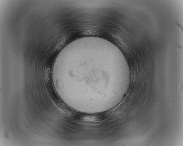 X0000098000171200804141216