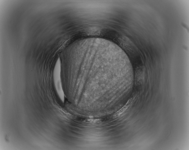 X0000098000172200804141216