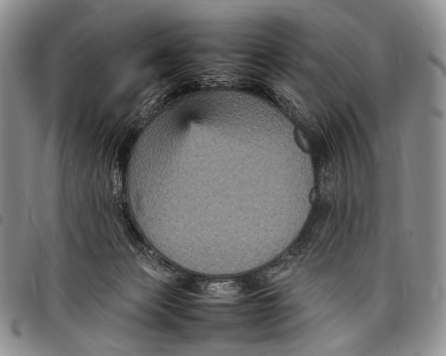 X0000098000173200804141216