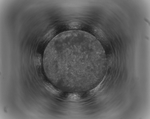 X0000098000174200804141216