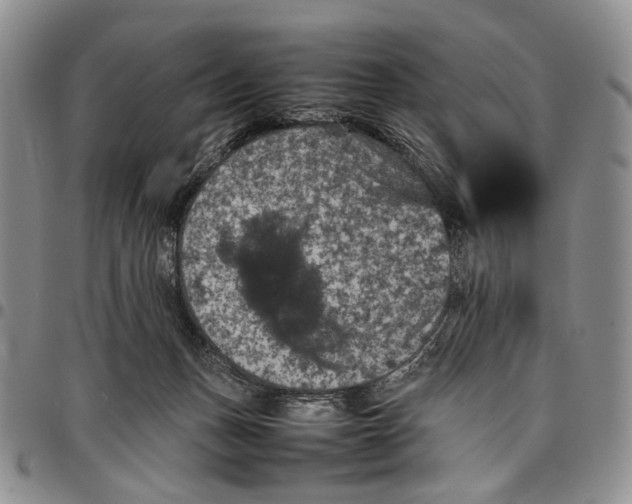 X0000098000175200804141216
