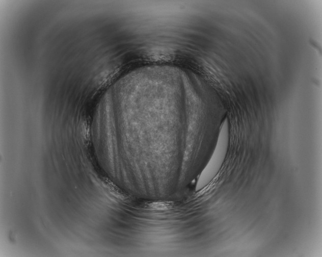 X0000098000176200804141216