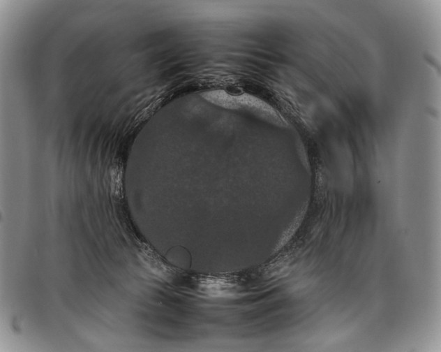 X0000098000177200804141216