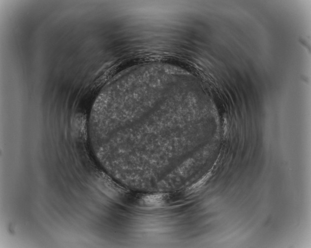 X0000098000178200804141216