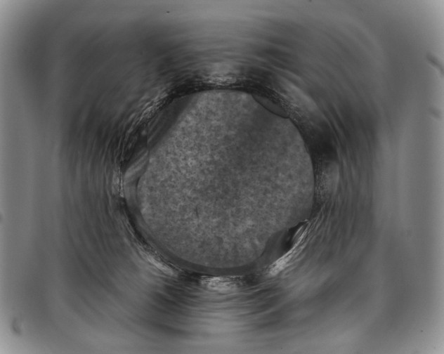 X0000098000180200804141216