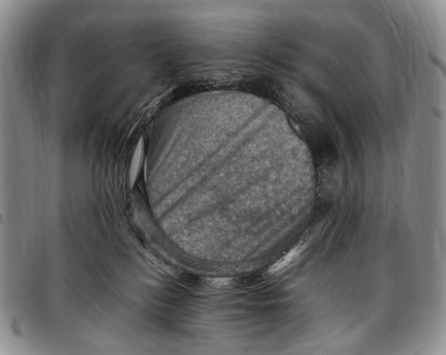 X0000098000184200804141216
