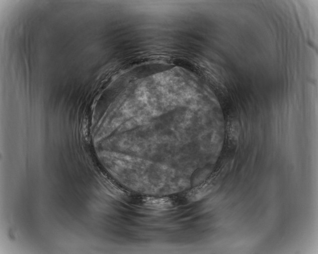 X0000098000185200804141216