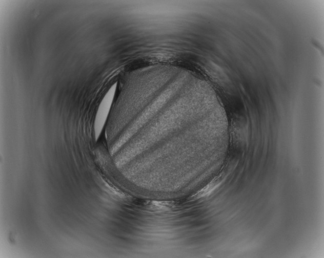 X0000098000188200804141216