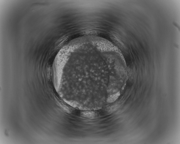 X0000098000189200804141216
