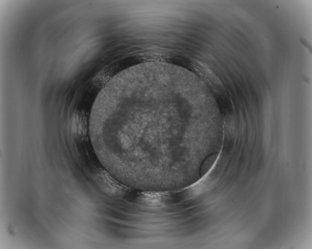 X0000098000190200804141216
