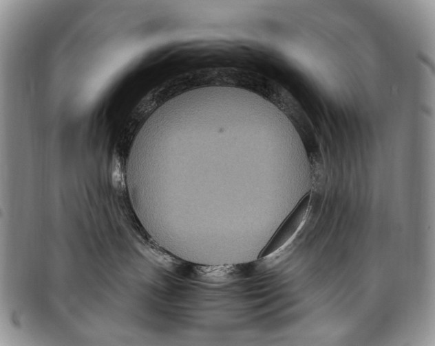 X0000098000191200804141216