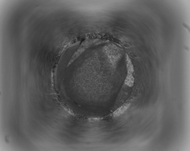 X0000098000192200804141216