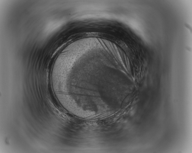 X0000098000194200804141215