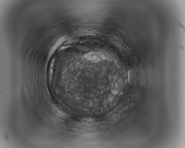 X0000098000195200804141215