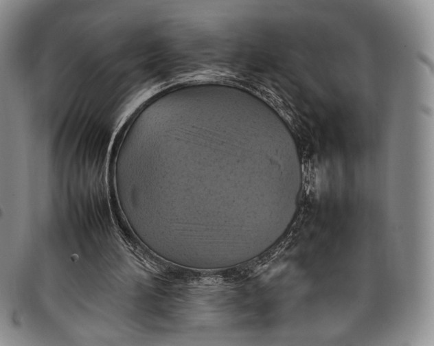 X0000098000196200804141215