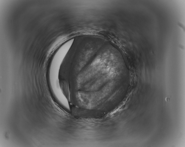 X0000098000197200804141215