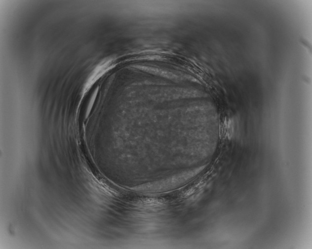 X0000098000198200804141215