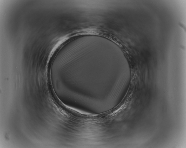X0000098000200200804141215