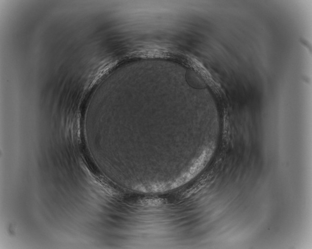 X0000098000202200804141215