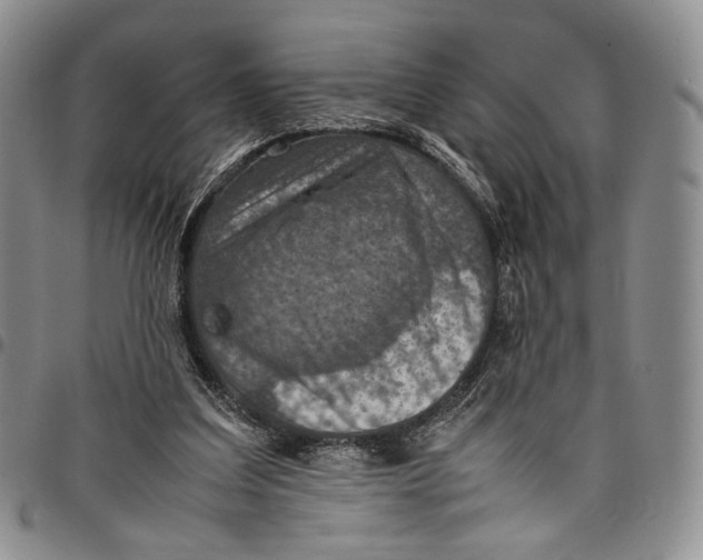 X0000098000203200804141215