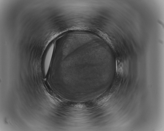 X0000098000204200804141215