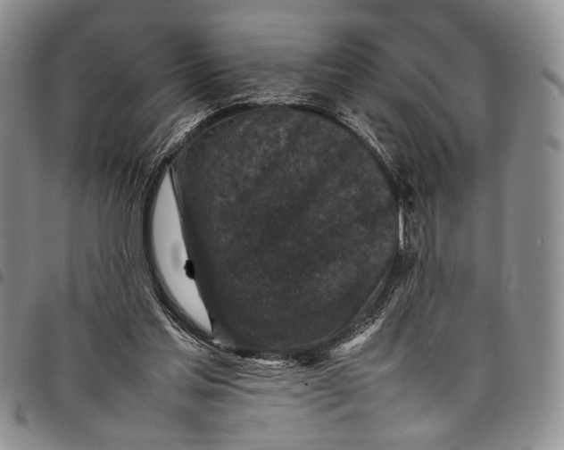 X0000098000205200804141215