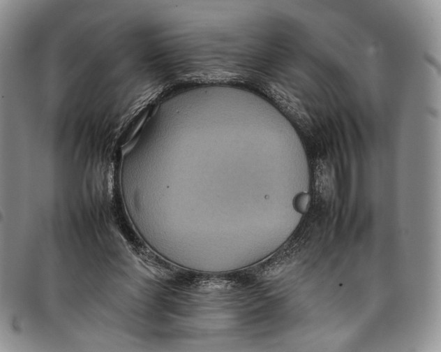 X0000098000206200804141215