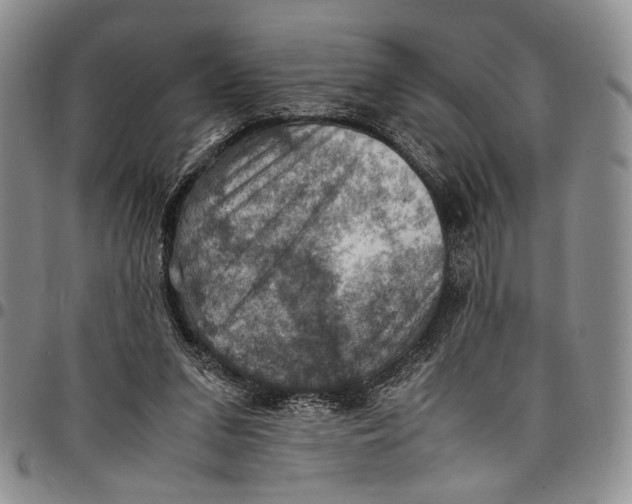 X0000098000207200804141215