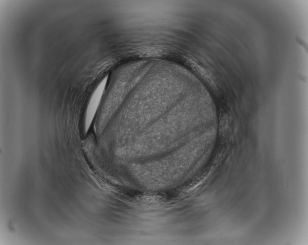 X0000098000209200804141215