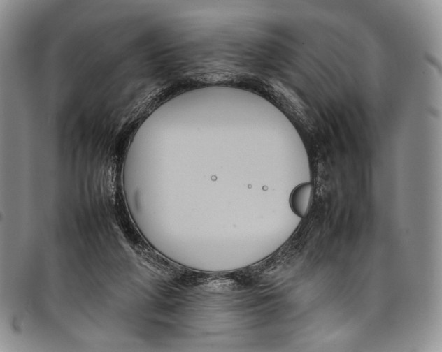 X0000098000210200804141215
