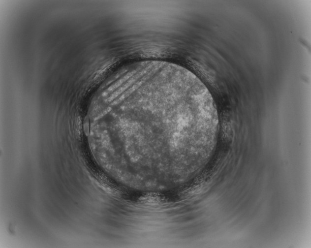 X0000098000211200804141215