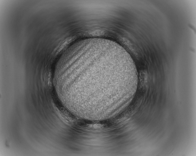 X0000098000212200804141215