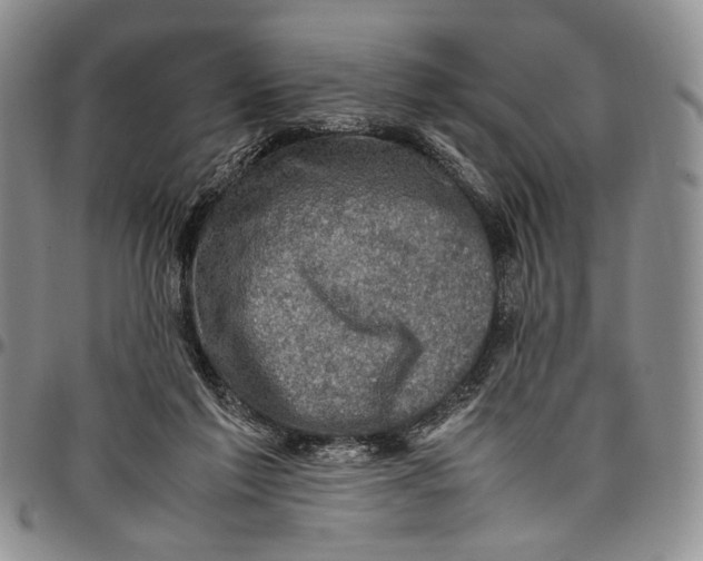 X0000098000213200804141215