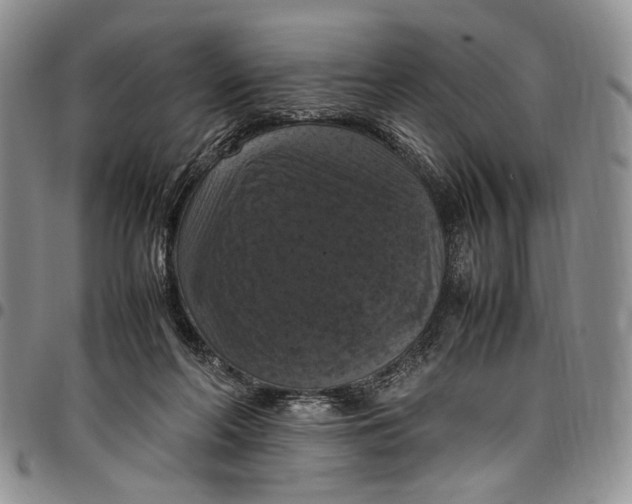 X0000098000214200804141215