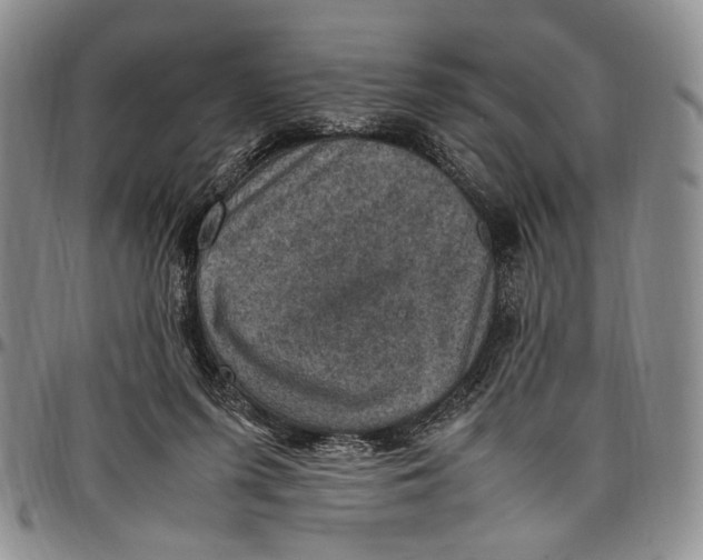 X0000098000215200804141215