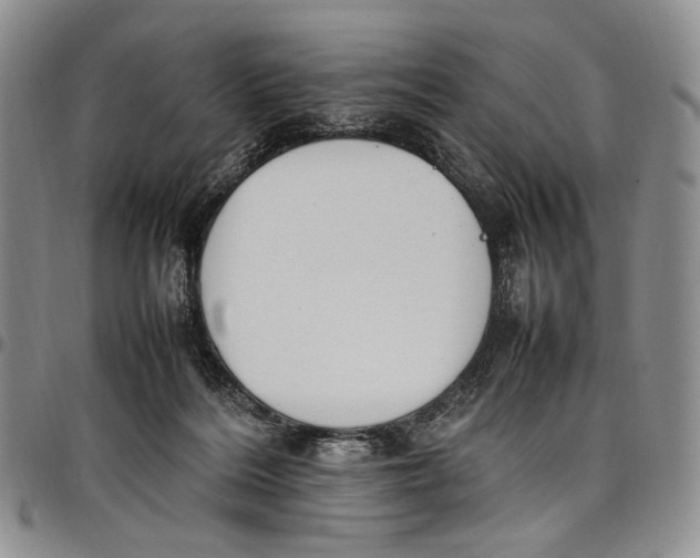 X0000098000220200804141214