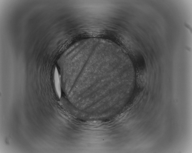 X0000098000221200804141214