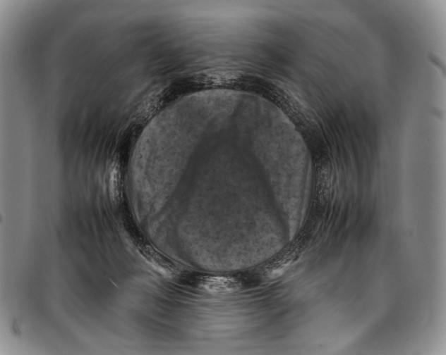 X0000098000222200804141214