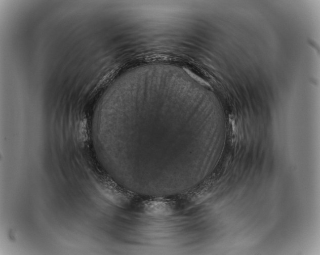 X0000098000224200804141214