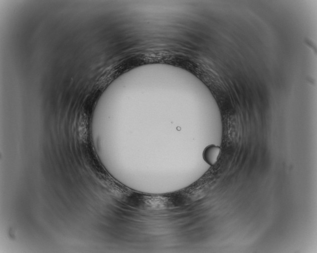 X0000098000226200804141214