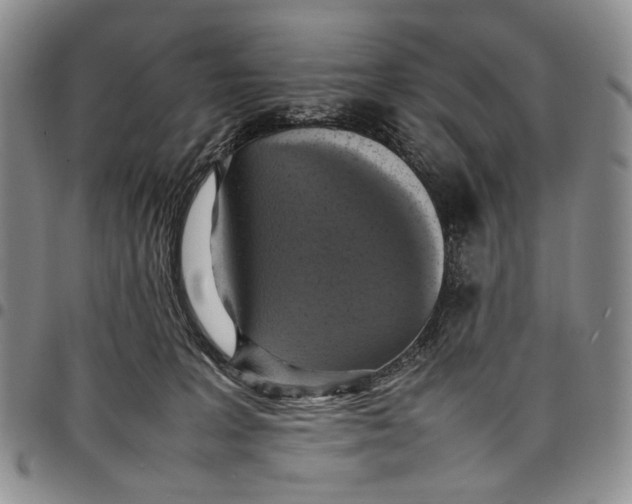 X0000098000227200804141214