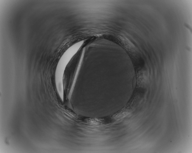 X0000098000229200804141214