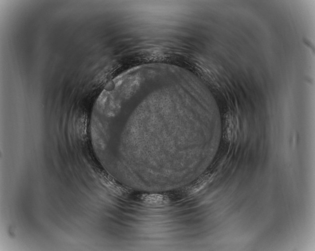 X0000098000230200804141214